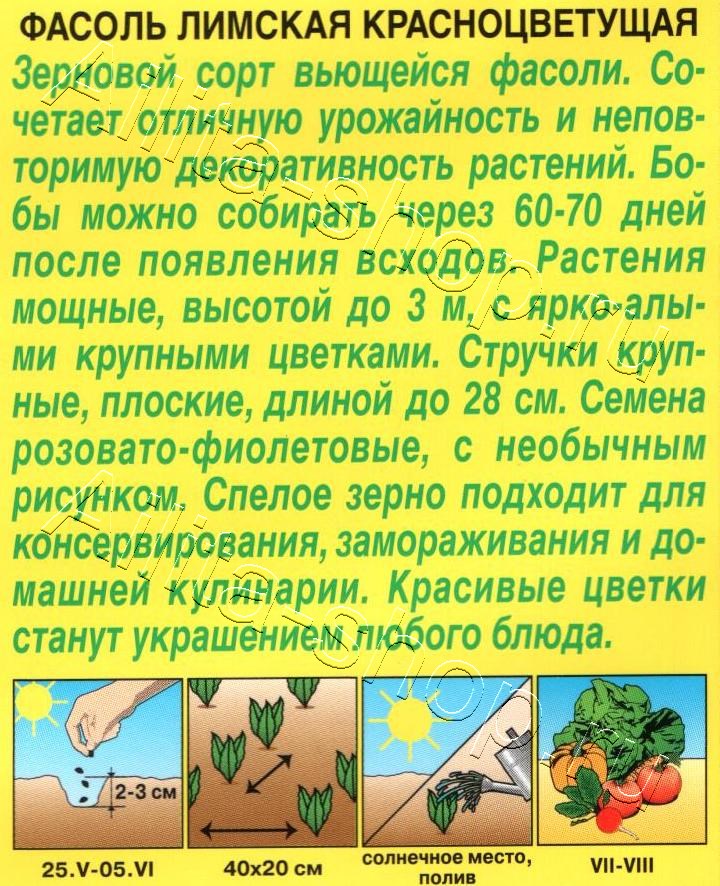 Фасоль лимская Красноцветущая 5г