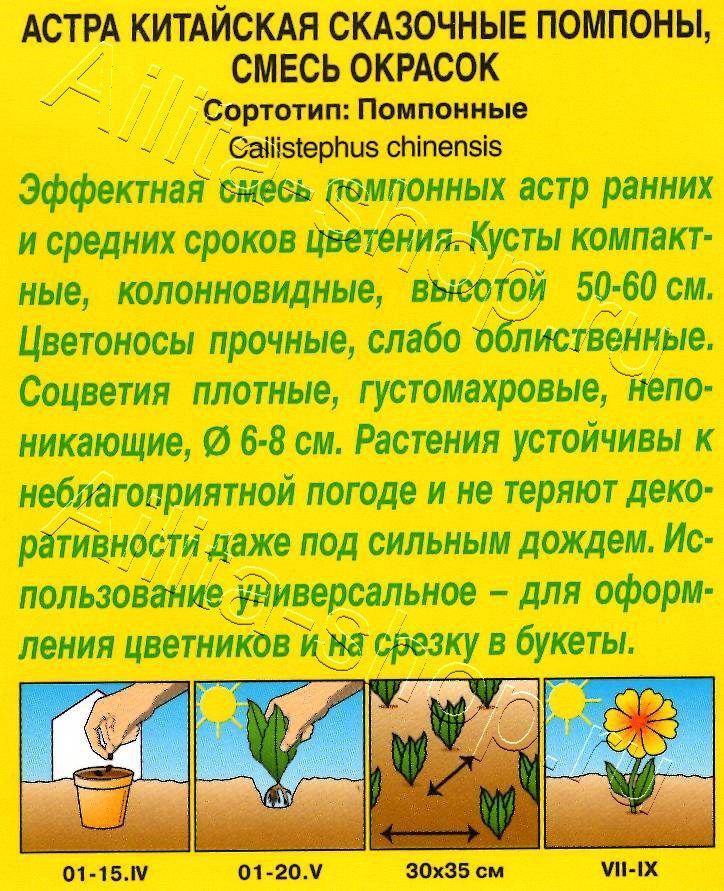 Астра Сказочные помпоны, смесь окрасок 0,2г