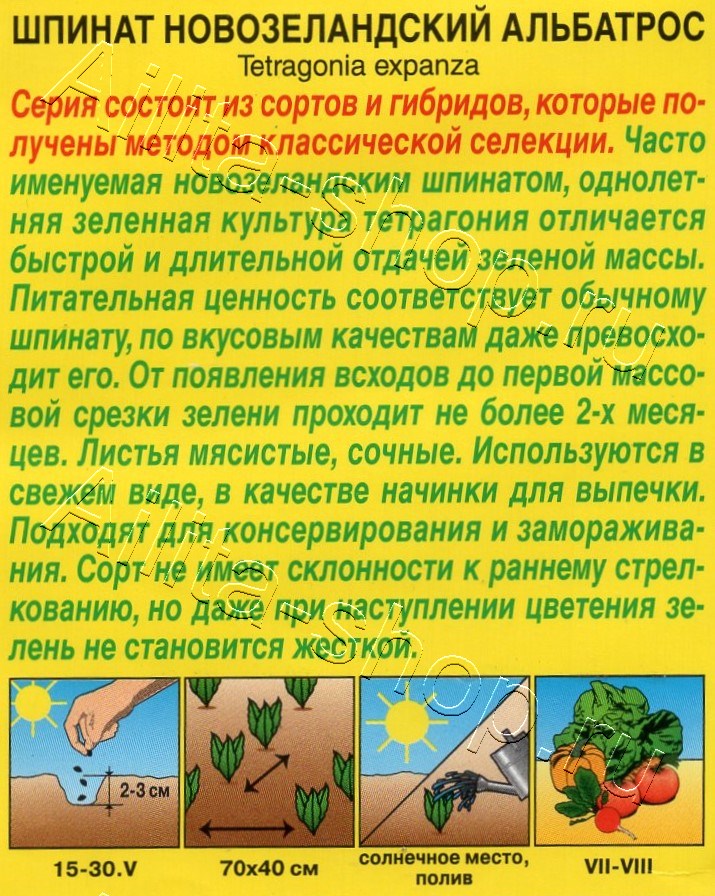 Шпинат новозеландский Альбатрос 1г