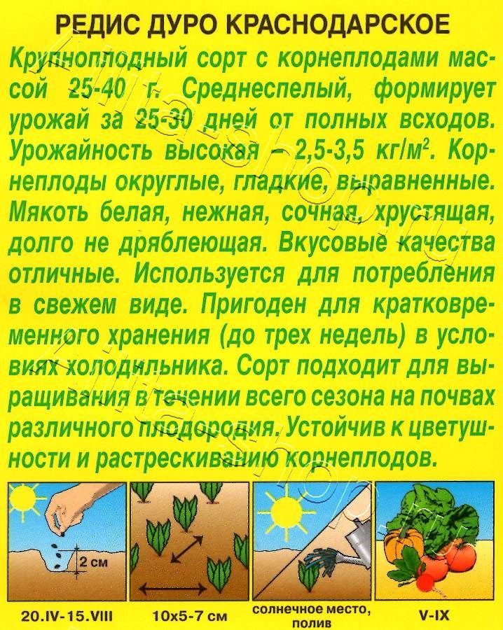 Редис Дуро Краснодарское 3г