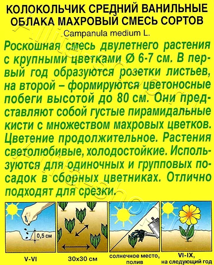 Колокольчик Ванильные облака, смесь окрасок 0,2г