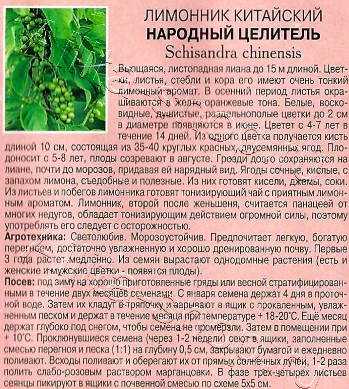 Лимонник Народный целитель 0,1г