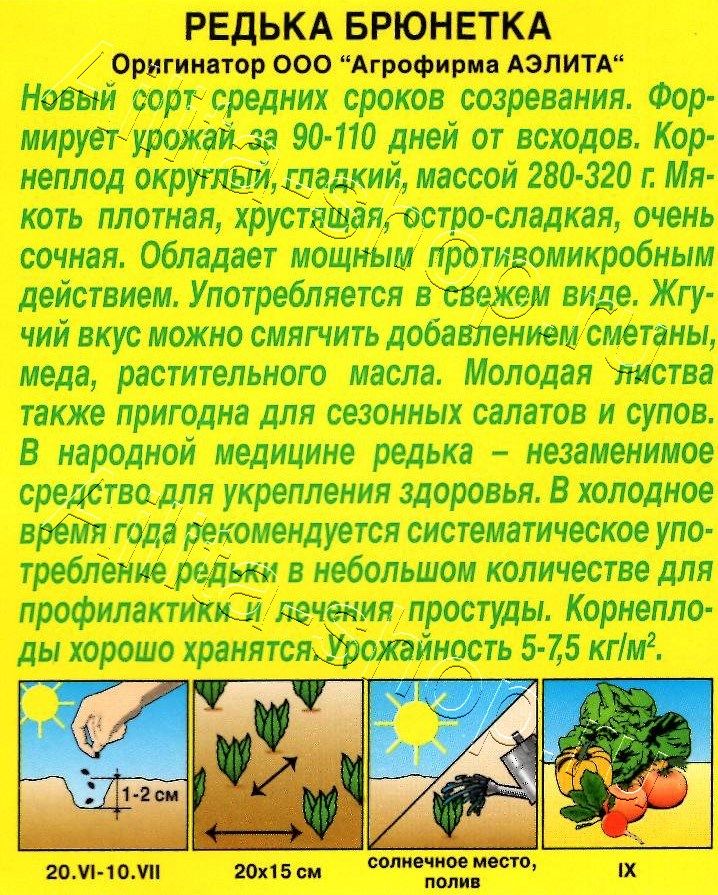 Редька Брюнетка 1г