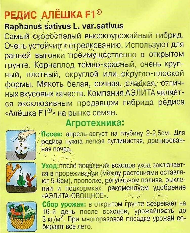 Редис Алешка F1 2г