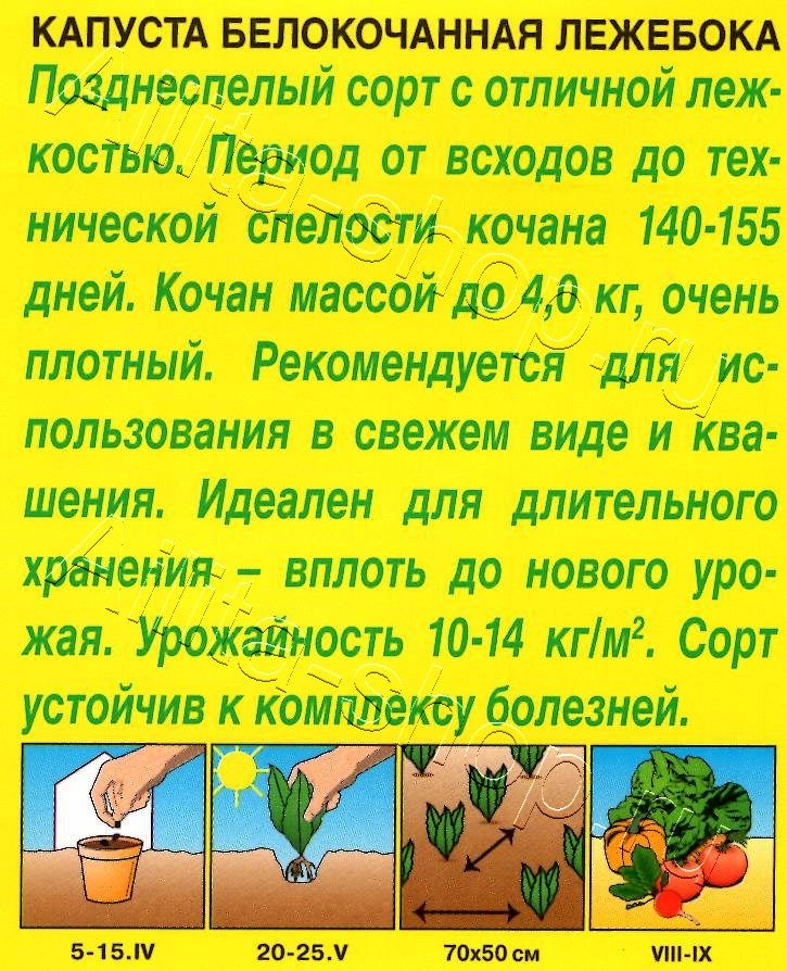 Капуста белокочанная Лежебока 0,3г