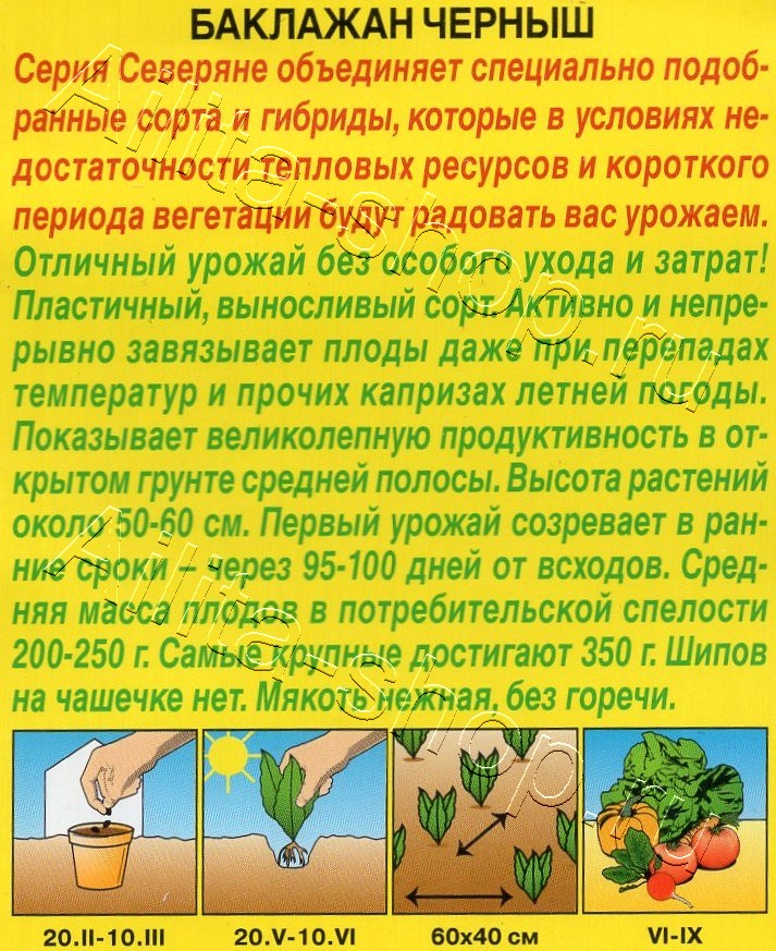 Баклажан Черныш 0,3г