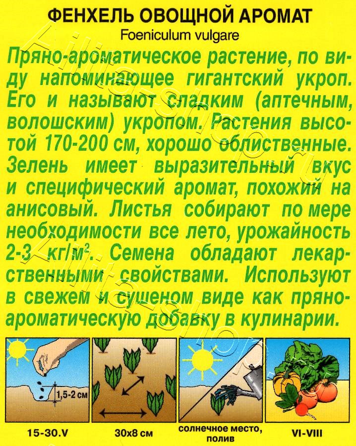 Фенхель овощной Аромат 20шт