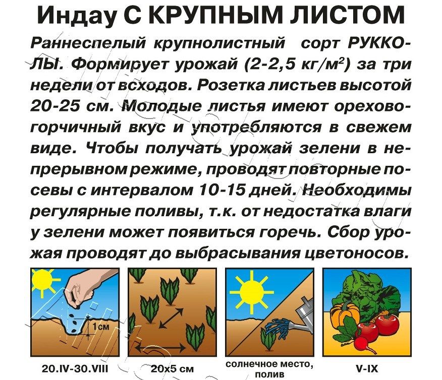 Индау (руккола) с крупным листом 0,3г