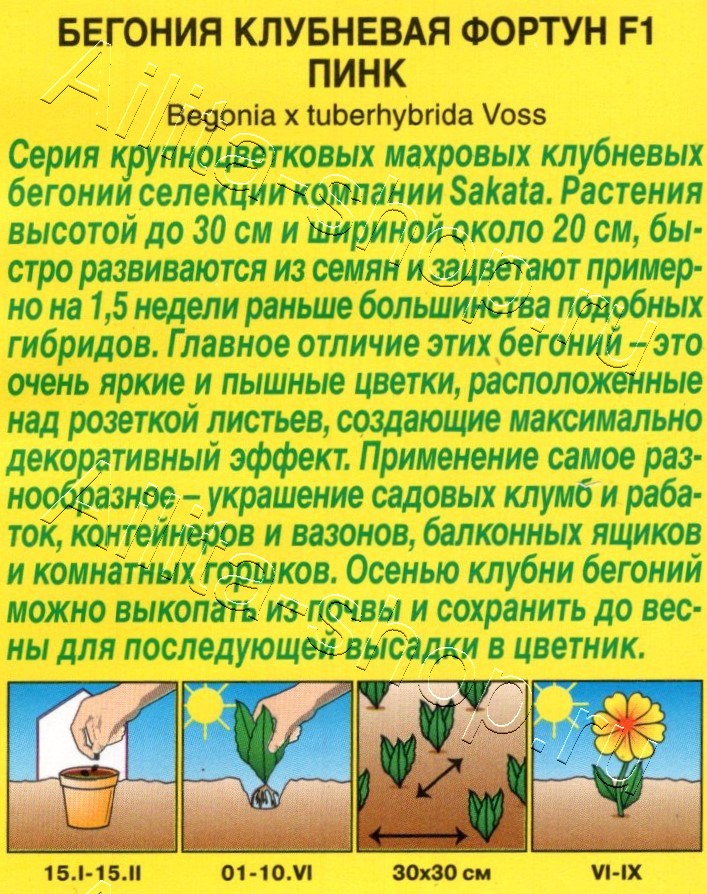 Бегония клубневая Фортун F1 пинк 5шт