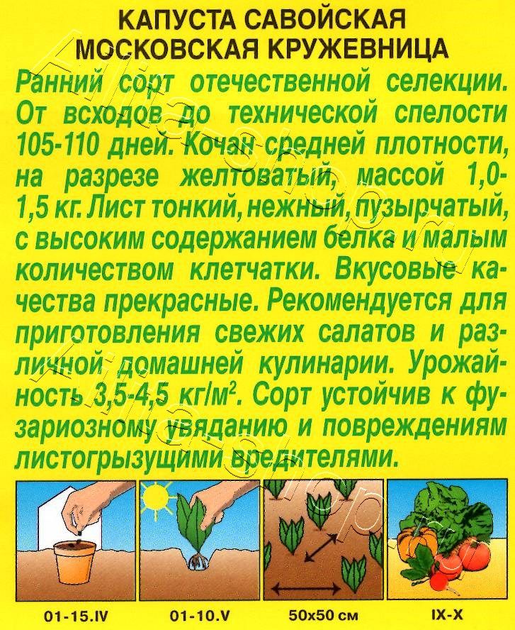 Капуста савойская Московская кружевница 0,3г