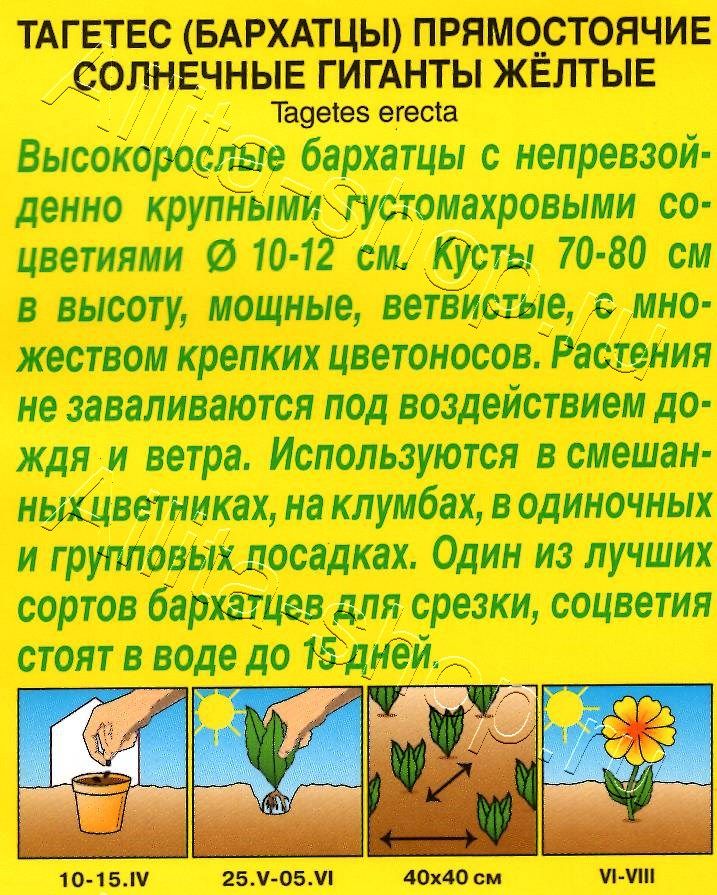 Бархатцы Солнечные гиганты желтые 0,3г