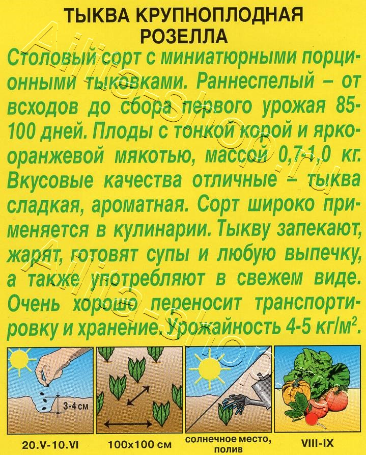 Тыква крупноплодная Розелла 2г