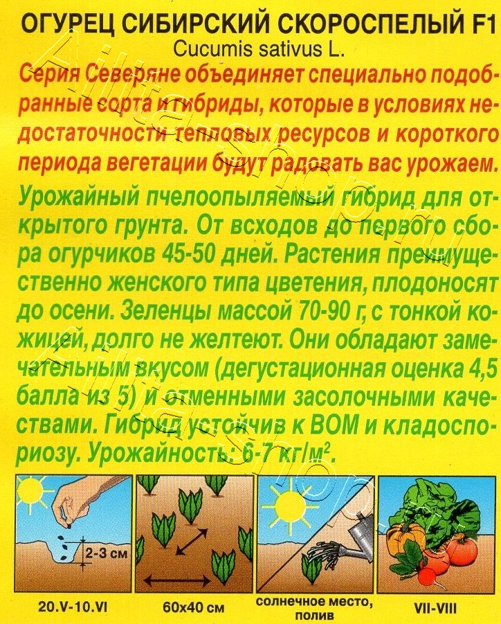 Огурец Сибирский скороспелый F1 10шт