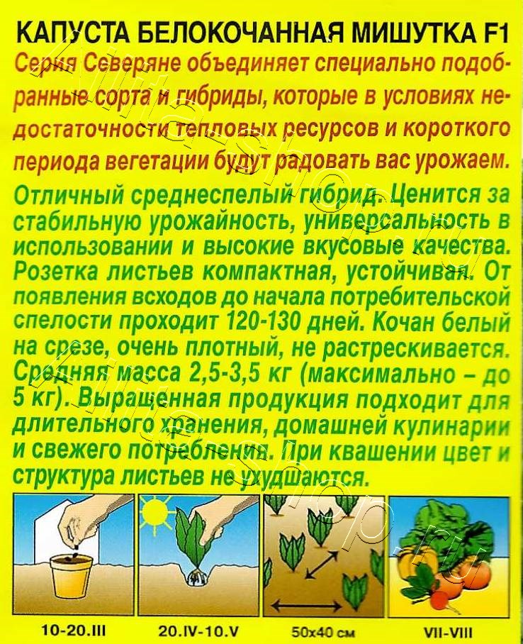 Капуста белокочанная Мишутка F1 0,1г