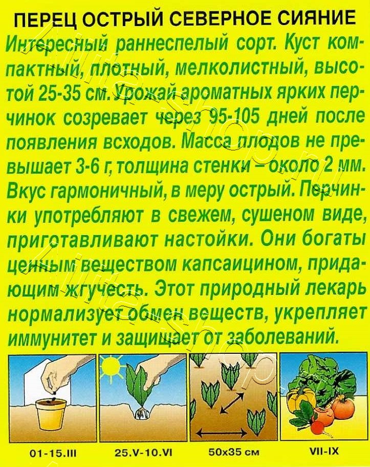 Перец острый Северное сияние 20шт