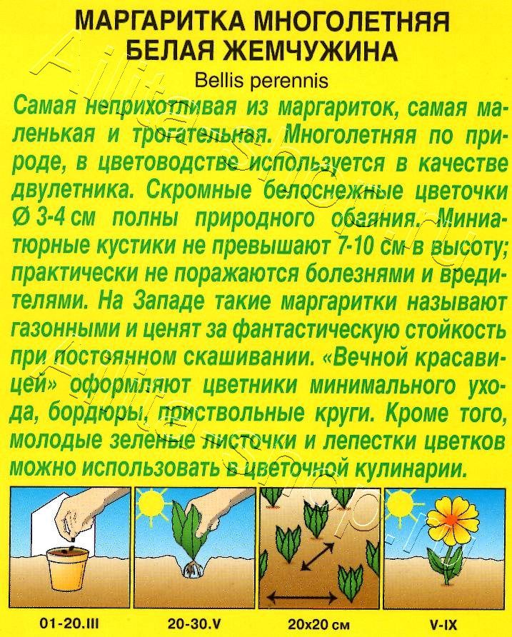 Маргаритка Белая жемчужина 0,05г