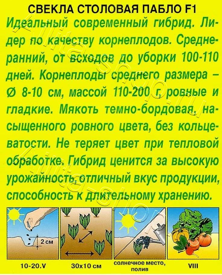 Свекла столовая Пабло F1 1г