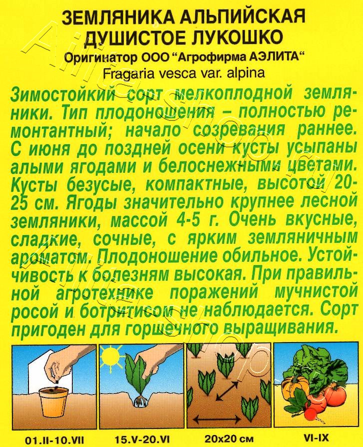 Земляника Душистое лукошко 0,03г