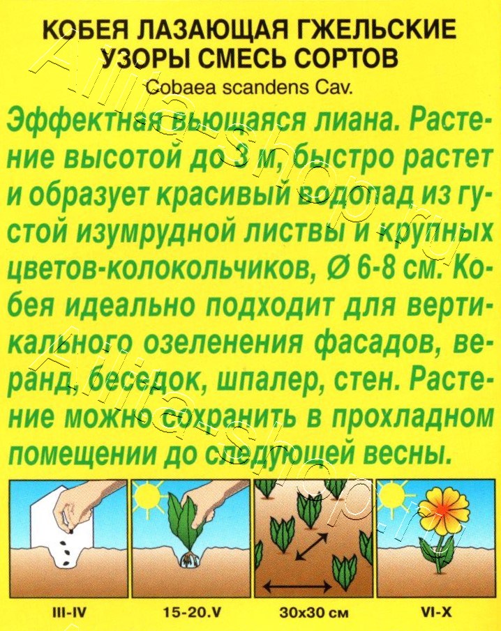 Кобея Гжельские узоры, смесь окрасок 0,45г