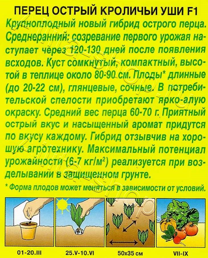 Перец острый Кроличьи уши F1 5шт