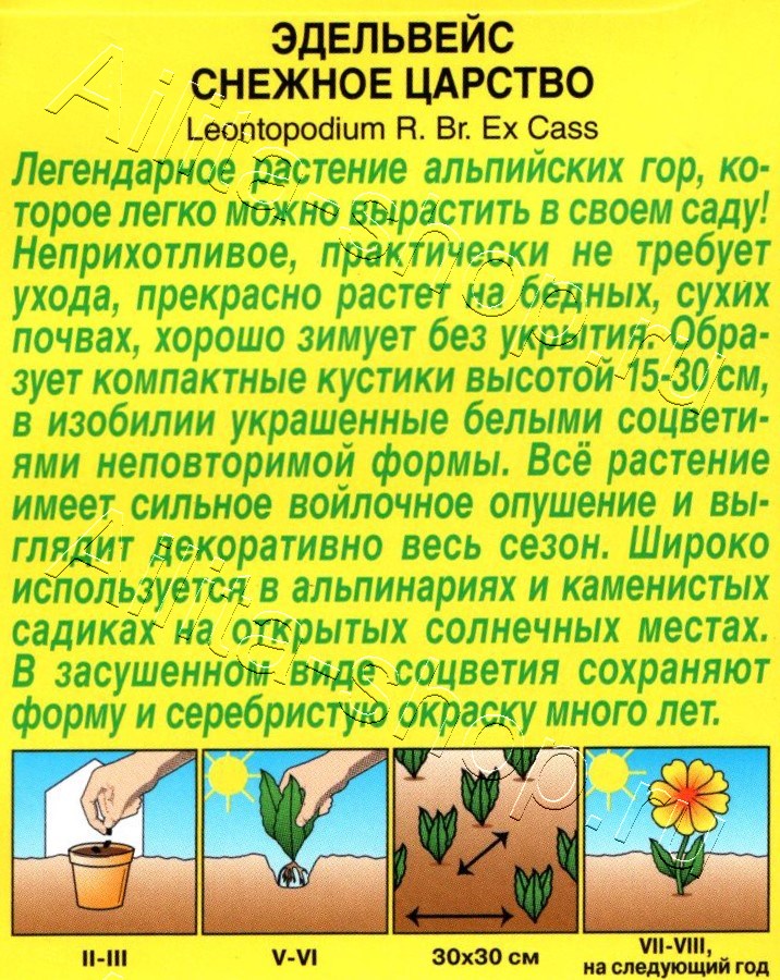 Эдельвейс альпийский Снежное царство 0,02г