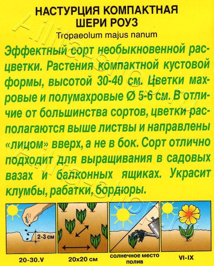 Настурция Шери Роуз карликовая 1г