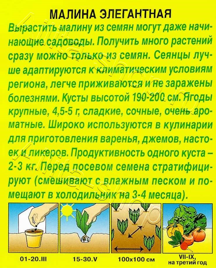 Малина Элегантная 0,05г