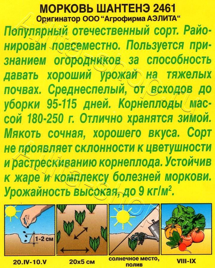 Морковь Шантенэ 2461 2г