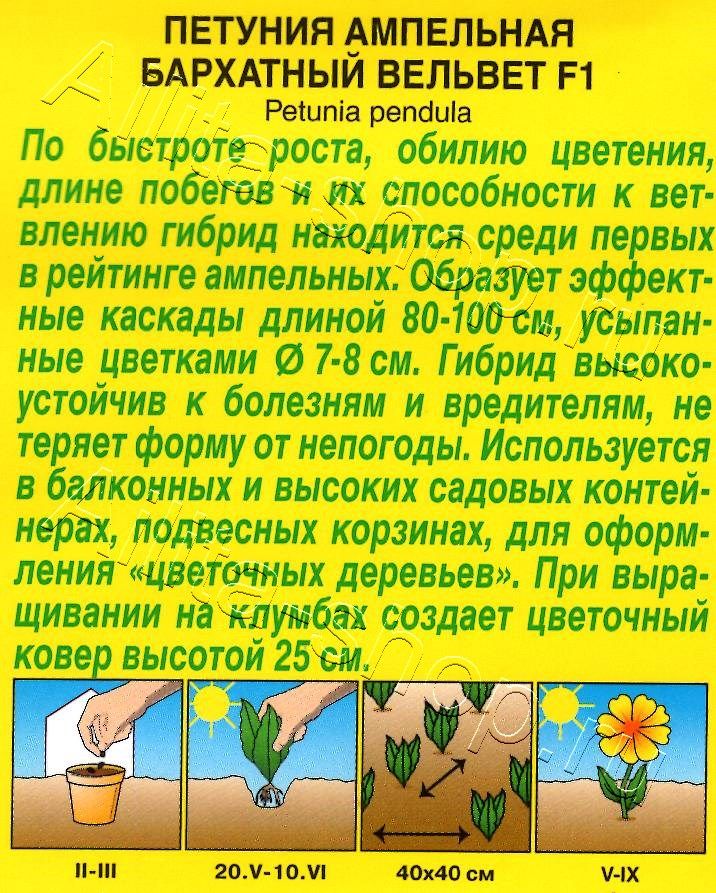 Петуния Бархатный вельвет F1 ампельная 5шт