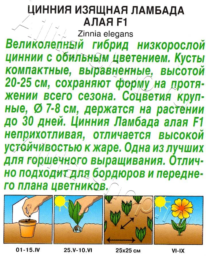 Цинния Ламбада F1 алая 12шт