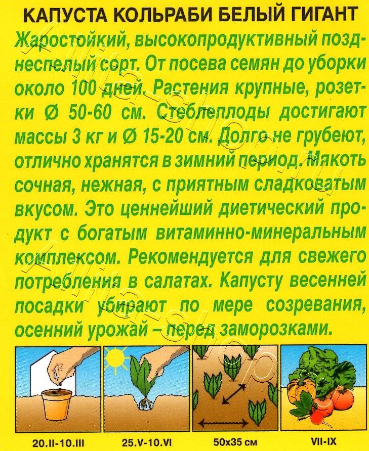 Капуста кольраби Белый гигант 0,3г