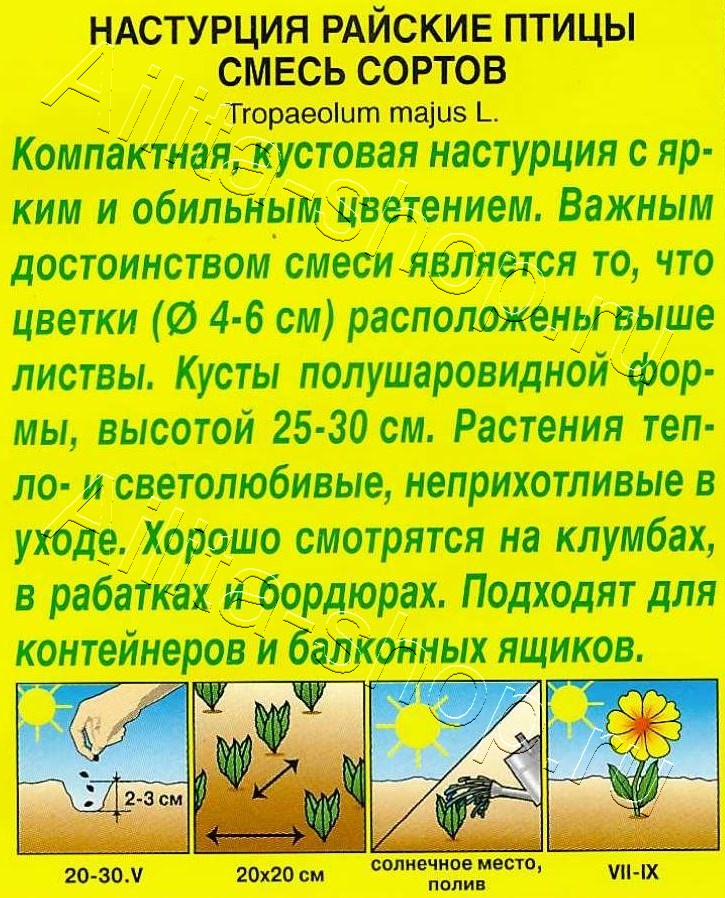 Настурция Райские птицы, смесь окрасок 1г