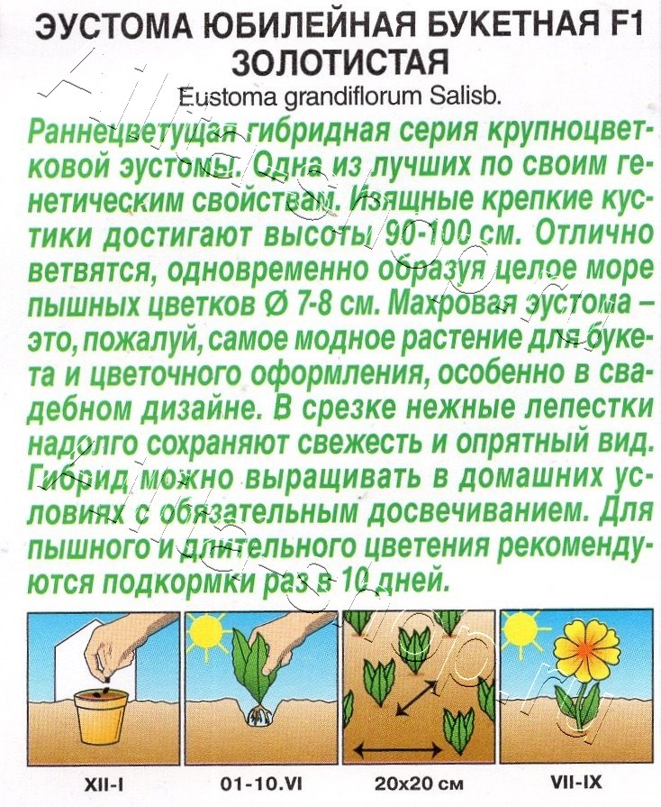 Эустома Юбилейная букетная F1 махровая золотистая 5шт