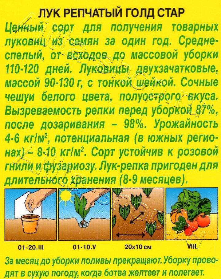 Лук репчатый Голд стар 1г