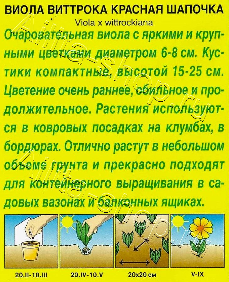 Виола Красная шапочка 20шт