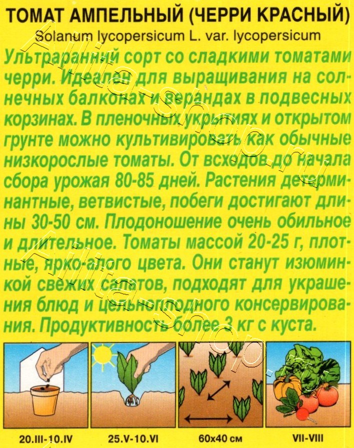 Томат Ампельный (черри красный) 10шт