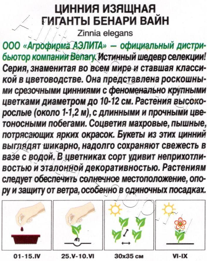 Цинния Гиганты Бенари вайн 7шт