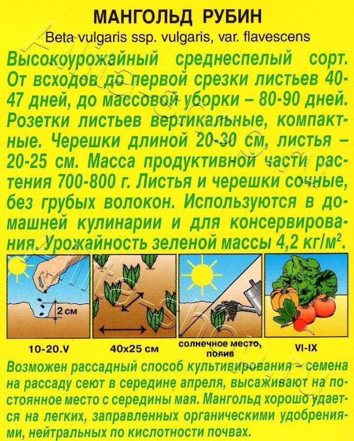 Мангольд Рубин 1г