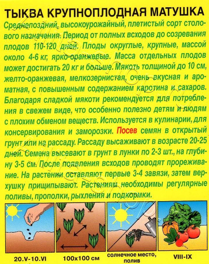 Тыква крупноплодная Матушка 1г