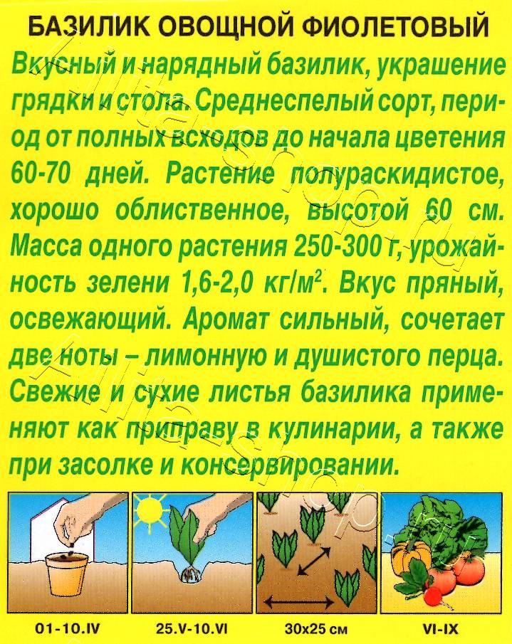 Базилик овощной Фиолетовый 0,2г