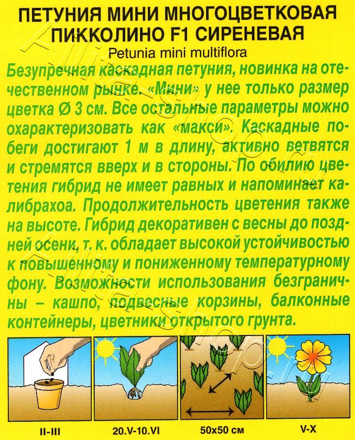 Петуния мини Пикколино F1 сиреневая 5шт