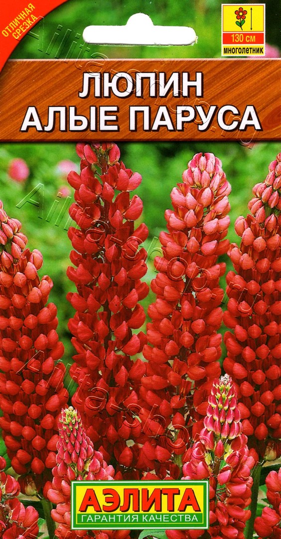 Люпин Алые паруса многолетний 15шт
