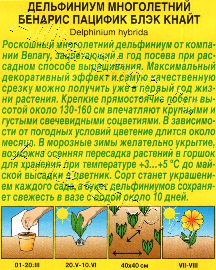 Дельфиниум Бенарис пацифик блэк кнайт 10шт