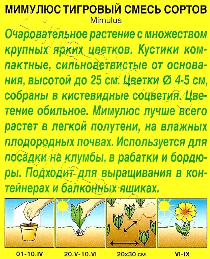 Мимулюс Крупноцветковый тигровый, смесь окрасок 0,03г