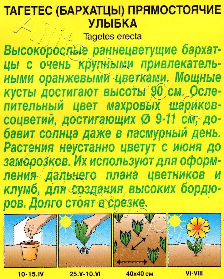 Бархатцы Улыбка прямостоячие 0,3г