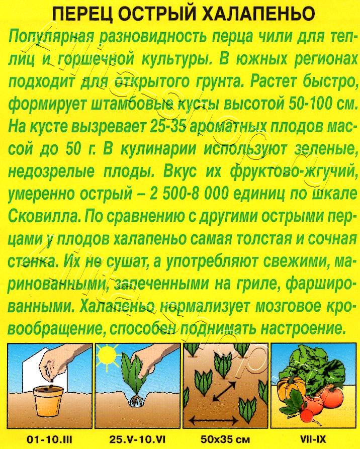 Перец острый Халапеньо 20шт