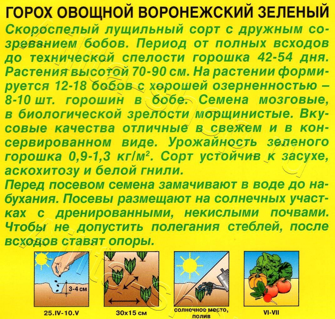 Горох овощной Воронежский зеленый 25г