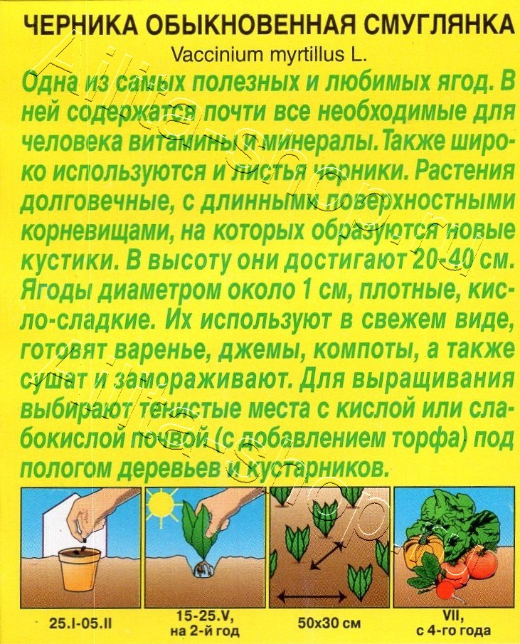 Огурец Деревенский пучок F1 10шт