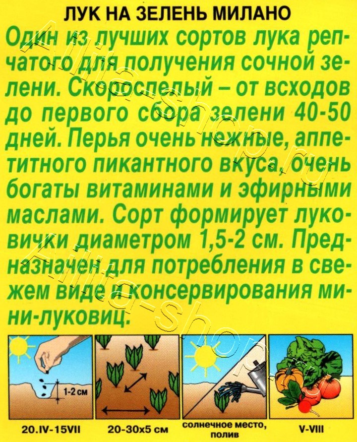 Лук на зелень Милано 0,5г