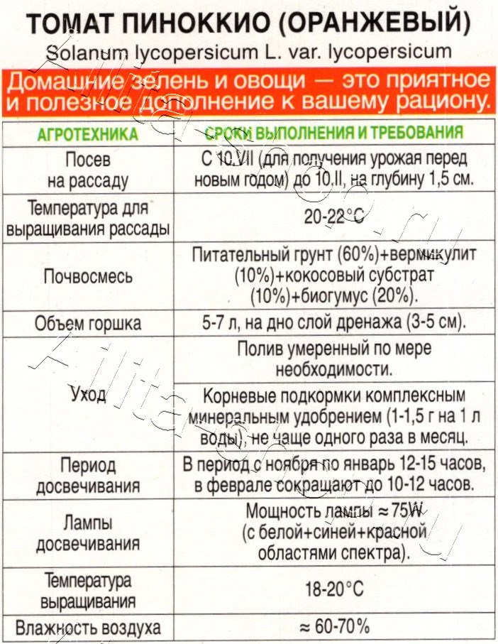 Томат Пиноккио (оранжевый) 10шт